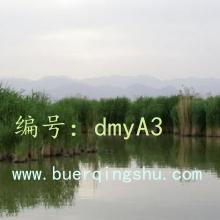 Ų